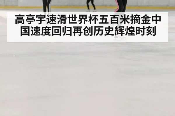 高亭宇速滑世界杯五百米摘金中国速度回归再创历史辉煌时刻